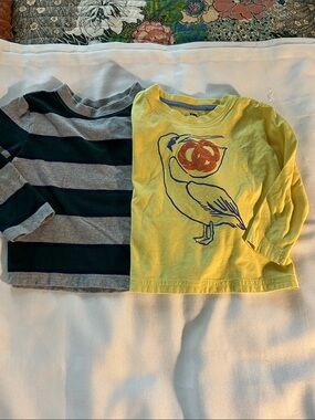 Long sleep size 2T tee shirts, Hanna Andersson and Tea Collection